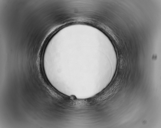 X0000103501024200810031623