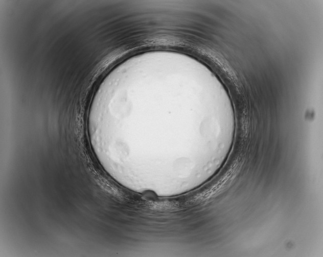 X0000103501025200810031623