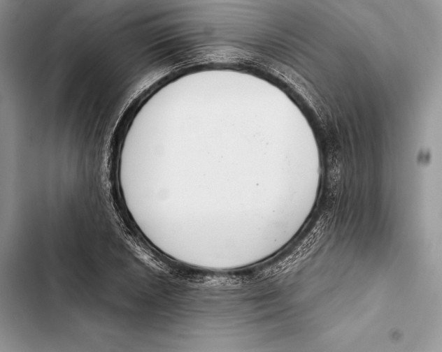 X0000103501026200810031623