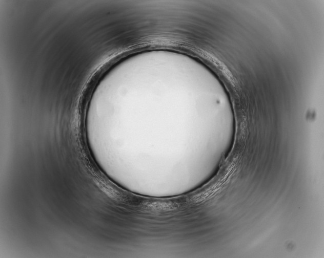 X0000103501027200810031623