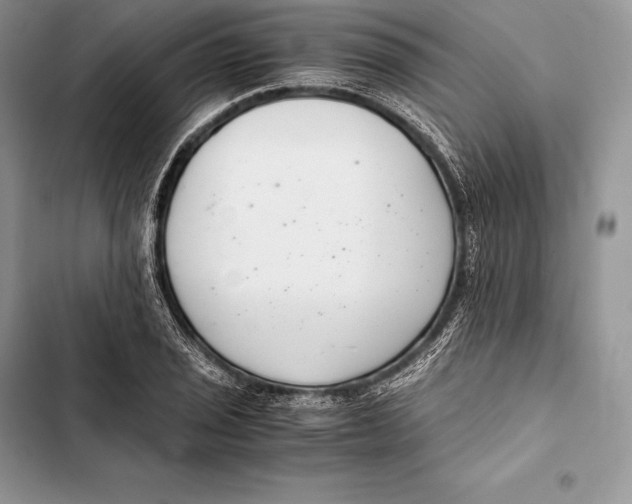 X0000103501029200810031623