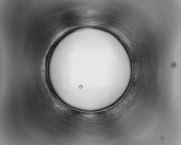 X0000103501031200810031623