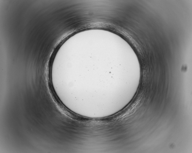 X0000103501034200810031624