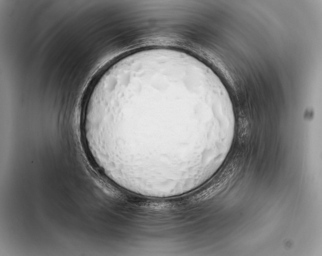 X0000103501035200810031624