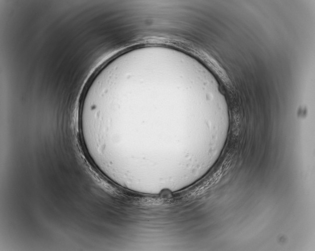 X0000103501036200810031624