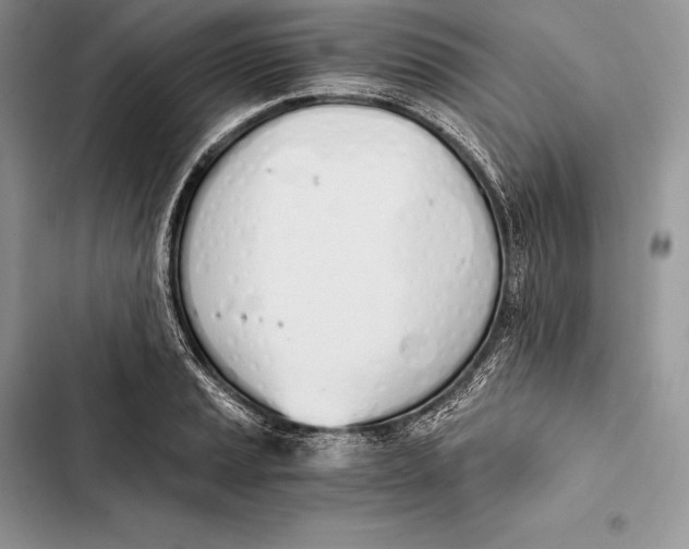 X0000103501037200810031624