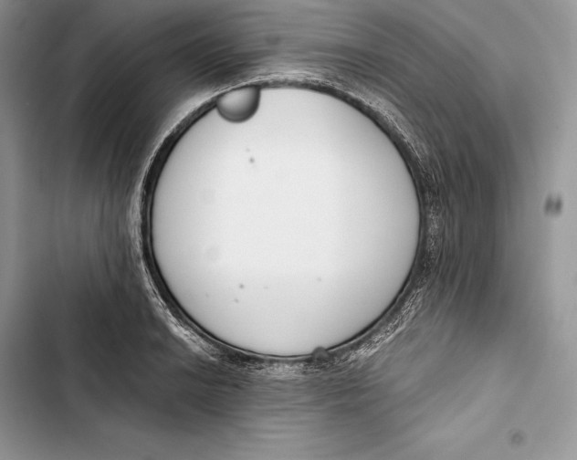 X0000103501038200810031624