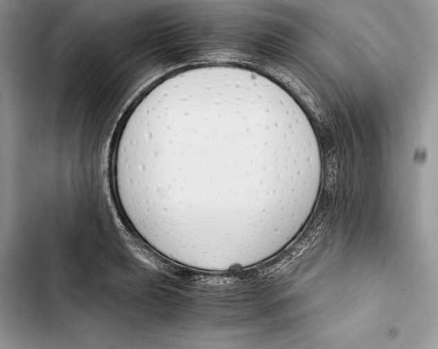 X0000103501039200810031624