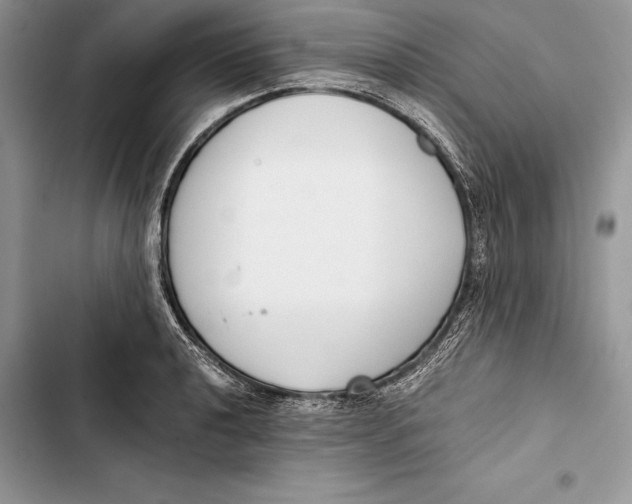 X0000103501040200810031624