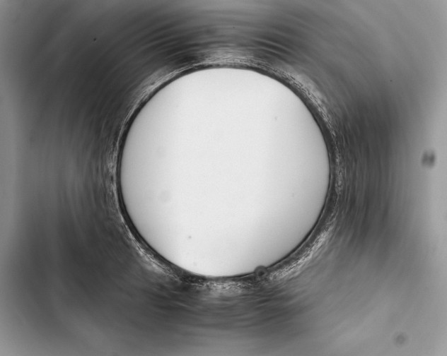 X0000103501041200810031624