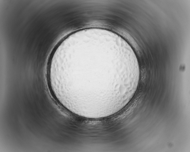 X0000103501043200810031624