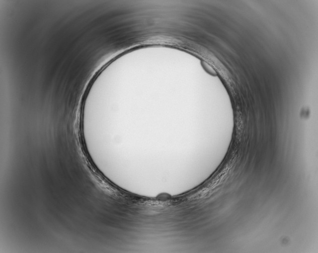 X0000103501044200810031624