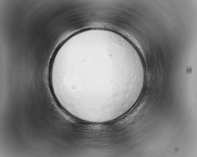 X0000103501045200810031624