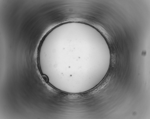 X0000103501046200810031624