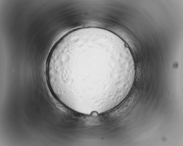 X0000103501047200810031624