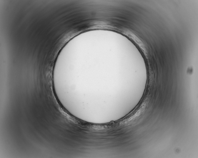 X0000103501049200810031624