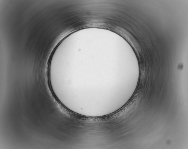 X0000103501050200810031624