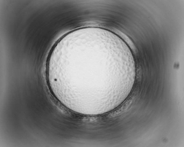 X0000103501051200810031624