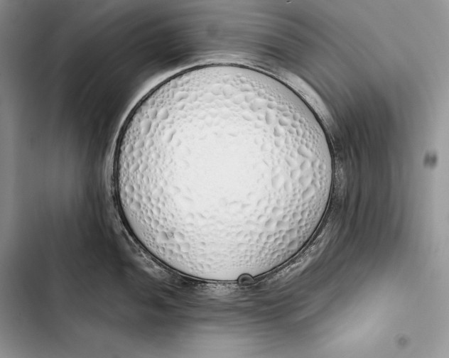 X0000103501052200810031624