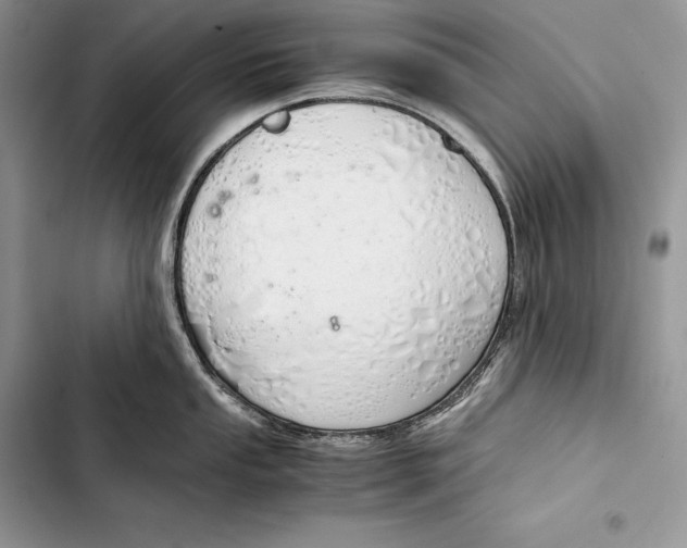 X0000103501053200810031624