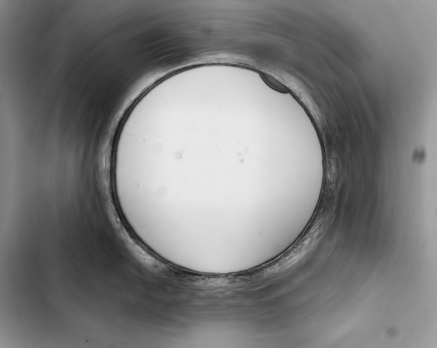 X0000103501054200810031624