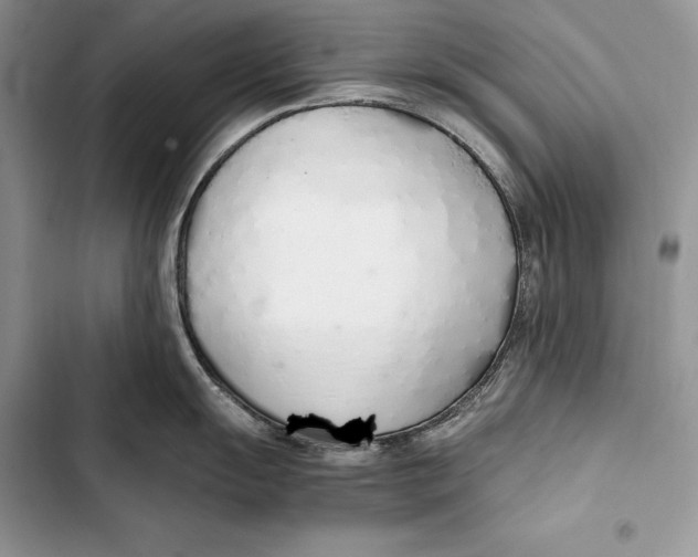 X0000103501055200810031624