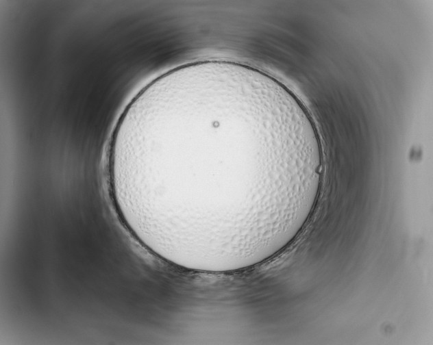 X0000103501056200810031624