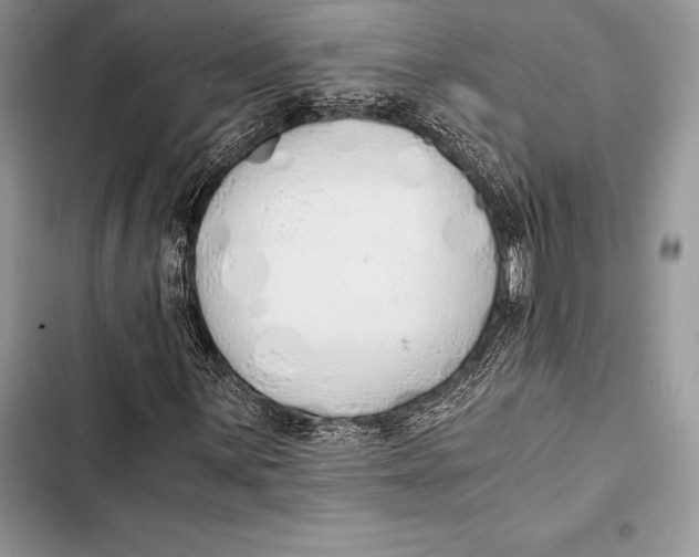 X0000103501059200810031623