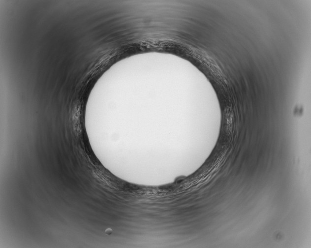 X0000103501060200810031623