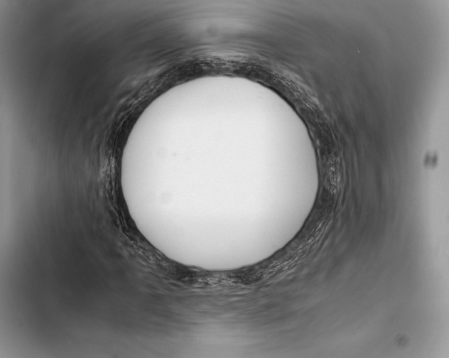 X0000103501061200810031623