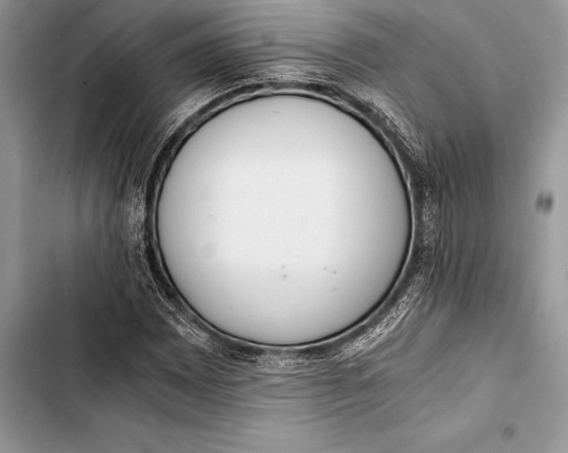 X0000103501065200810031623