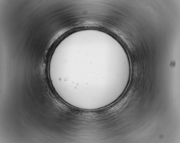 X0000103501066200810031623