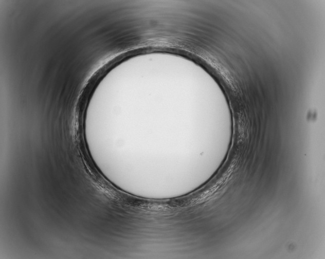 X0000103501070200810031623