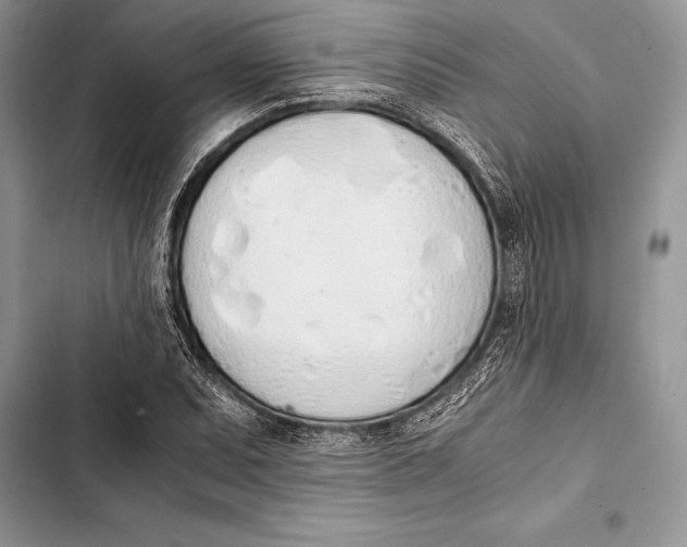 X0000103501071200810031623