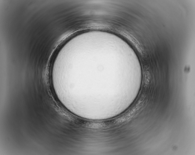 X0000103501074200810031623