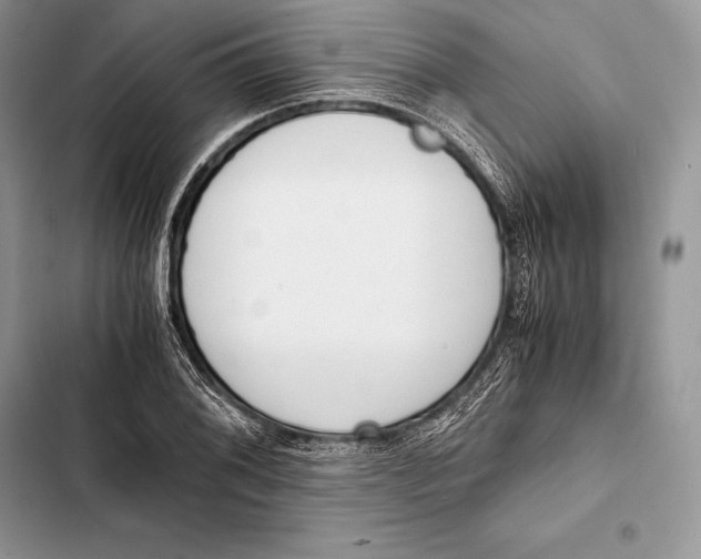 X0000103501076200810031623