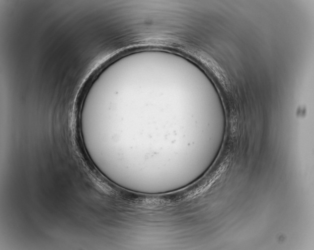 X0000103501077200810031623