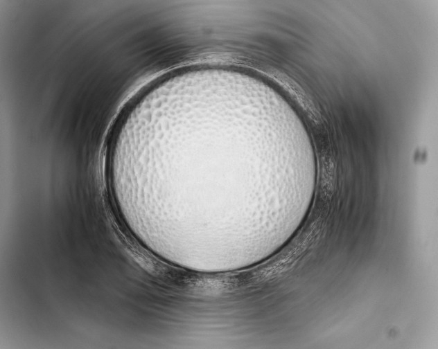 X0000103501078200810031623