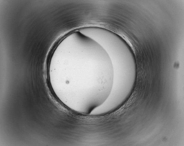 X0000103501080200810031623