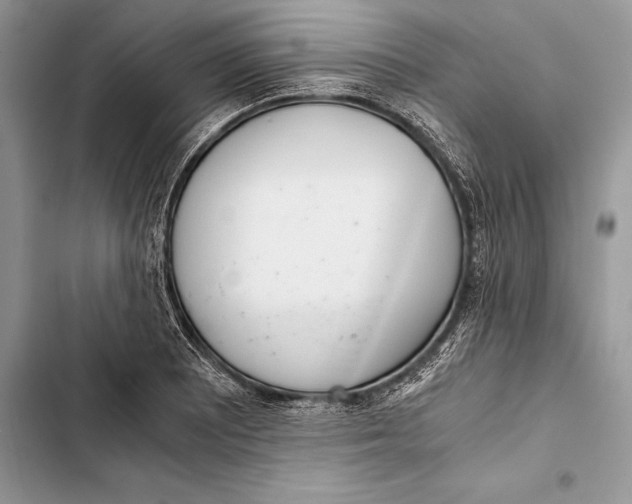 X0000103501081200810031623