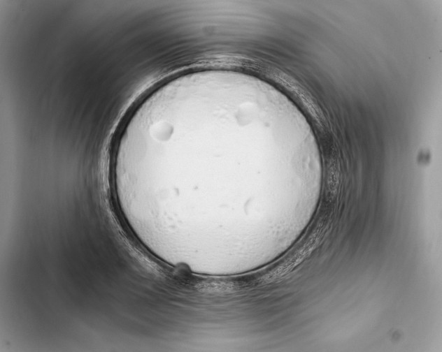 X0000103501083200810031623