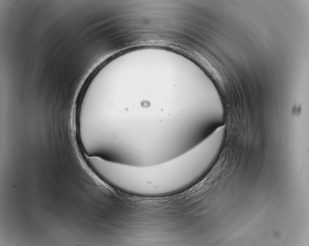 X0000103501084200810031623