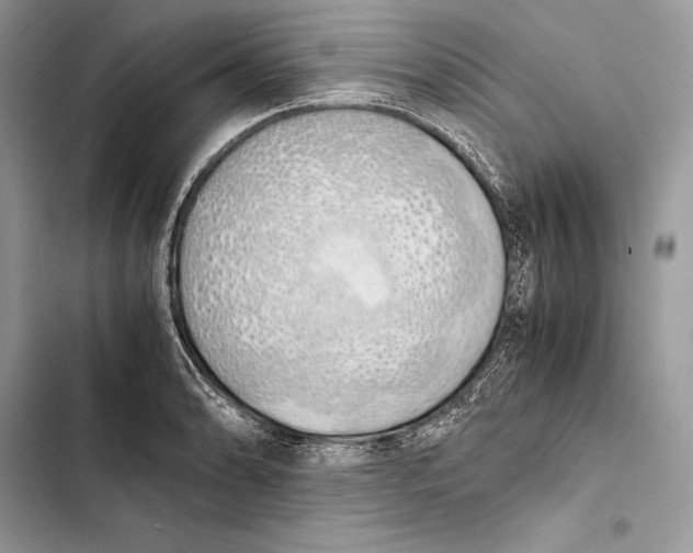 X0000103501086200810031623