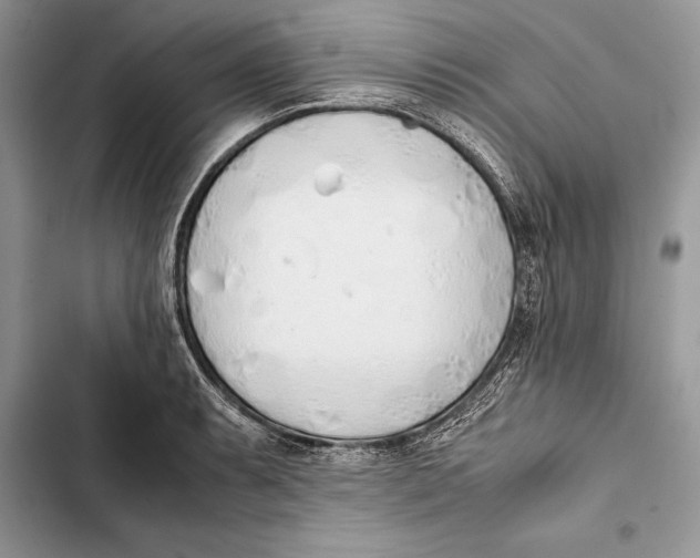 X0000103501087200810031623