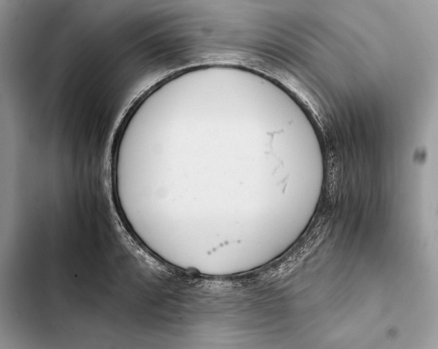 X0000103501088200810031623