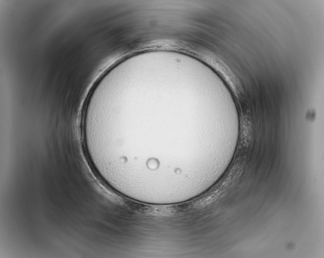 X0000103501090200810031623