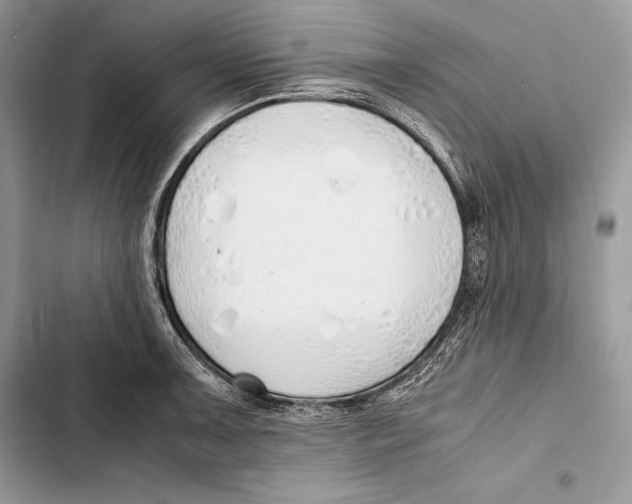 X0000103501091200810031623