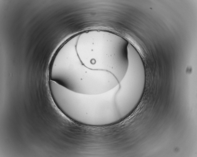 X0000103501092200810031622