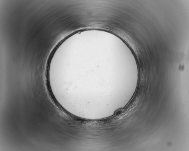 X0000103501093200810031622