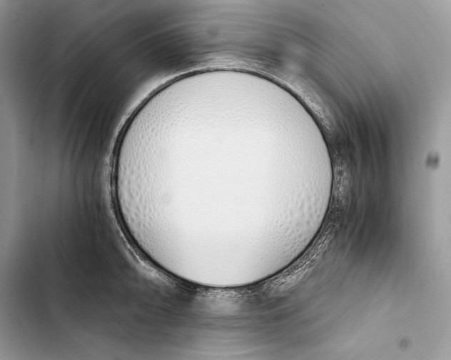 X0000103501094200810031622